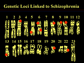 Linkage Studies and Schizophrenia Linkage Studies and Schizophrenia